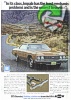 Chevrolet 1973 223.jpg